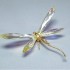 Swarovski Kristal | Crystal Paradise | Alibey - Jonquil 243085